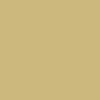 Flat MEDIUM FLESH 2 oz. bottle (Paint brush-ready) TCP-860-2