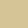 Flat TAN FLESH 2 oz. bottle (Paint brush-ready) TCP-863-2