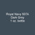 Royal Navy 507A DARK GREY 1920-1941 1 oz. bottle (Airbrush-ready) tcp-1066-1