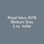 Royal Navy 507B MEDIUM GREY 1920-1941 2 oz. bottle (Airbrush-ready) tcp-1067-2